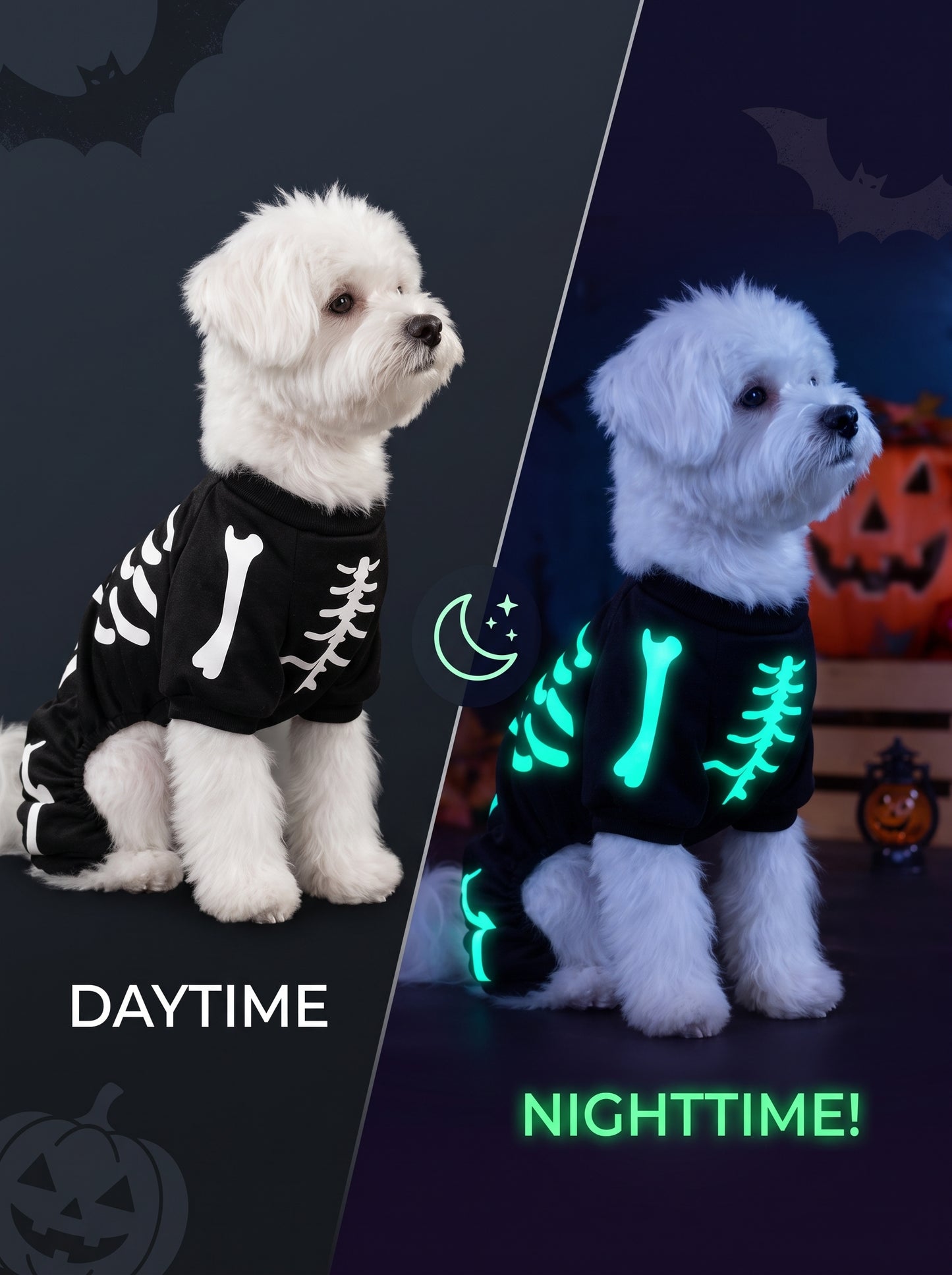 Dog wearing LumiPuppy costume - glows at night