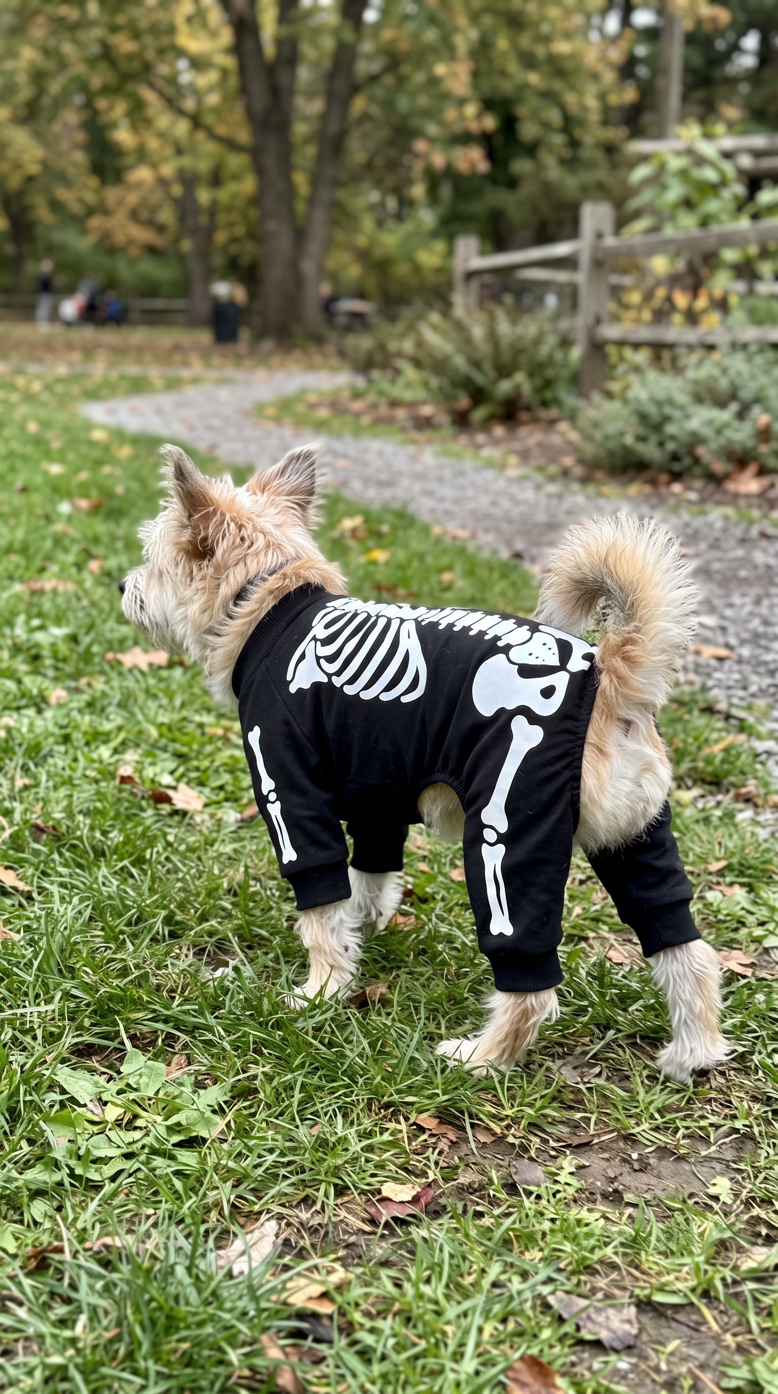 Dog wearing LumiPuppy costume at the park