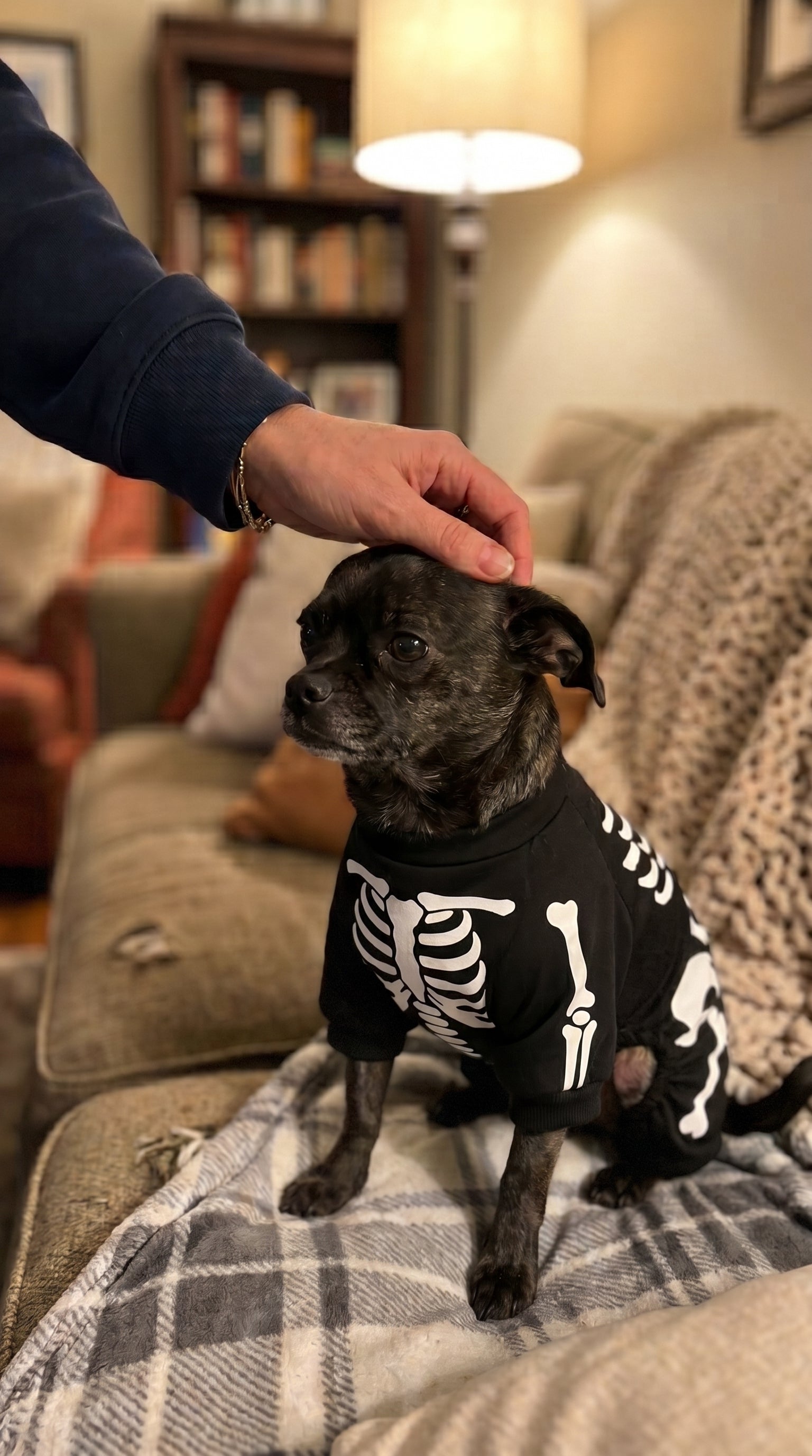 Petting a dog wearing the LumiPuppy costume