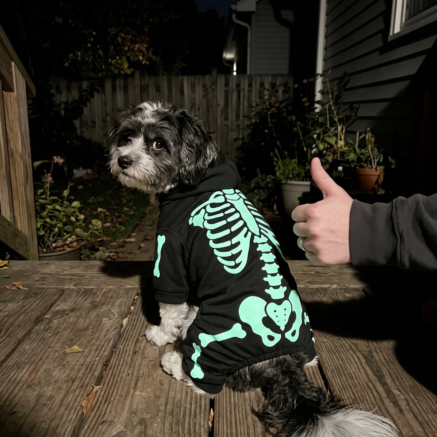 Happy LumiPuppy customer at a Halloween party